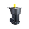 Picture of 200W 3-Phase AC Gear Motor, Horizontal, Ratio 3~100