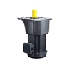 Picture of 1 hp (750W) 1-phase/3-Phase AC Gear Motor, Ratio 3~100