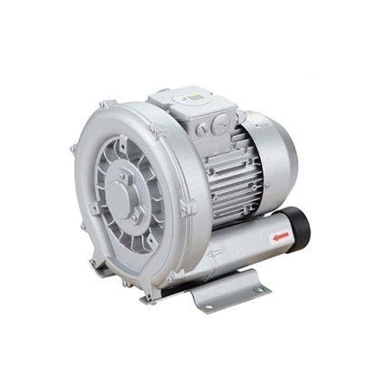 1 Phase 1/2 hp (400W) Regenerative Blower, 220V, 47 cfm