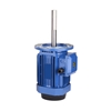 Picture of 1.5 hp 180mm Long Shaft Induction Motor, 2800 rpm