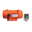 Picture of 40W 24 Volt DC Brushed Vibrating Electric Motor with Controller
