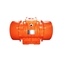 Picture of 3 kW Explosion Proof Vibration Motor, 2 pole
