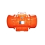 Picture of 5.5 kW Explosion Proof Vibration Motor, 4 pole