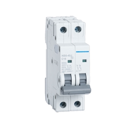 25 amp 2 pole Miniature Circuit Breaker