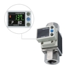 Picture of 1" Digital Flow Switch for Water