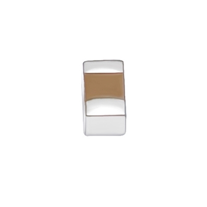10μF 100V Multilayer Ceramic Chip Capacitor
