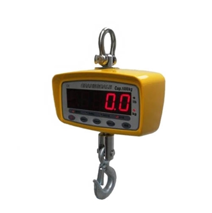 Wireless Crane Scale 50kg/ 100kg/ 200kg to 1000kg
