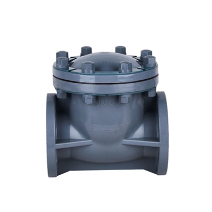 1 inch Swing Check Valve, DN25, CPVC