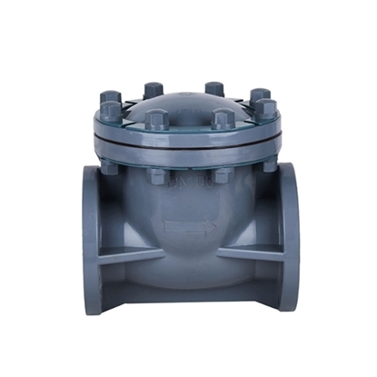 2 inch Swing Check Valve, DN50, CPVC