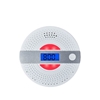 Picture of Home Smoke Detector, Carbon Monoxide (CO) Alarm