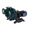Picture of 3 hp Self Priming Centrifugal Pump, 2 Pole