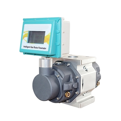Roots Gas Flow Meter, DN25-DN150