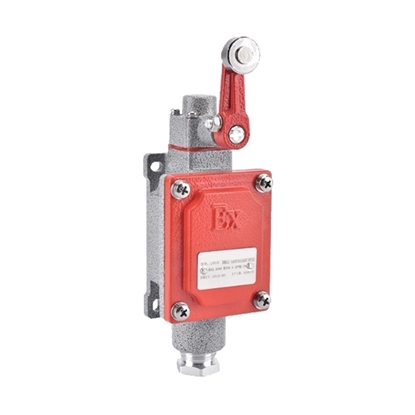 Explosion Proof Limit Switch, Roller Lever/Plunger, 220V/380V