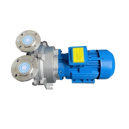 7.5 HP (5.5 kW) Water Ring Vacuum Pump